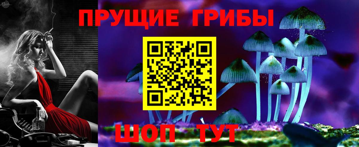 Асбест  Псилоцибиновые грибы Psilocybe  Вход с VPN  Псилоцибиновые грибы прущие грибы 